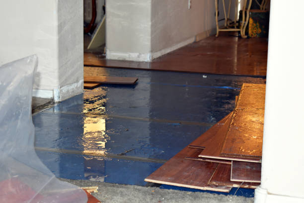 Professional Water Damage technician working in Lindsay, TX
